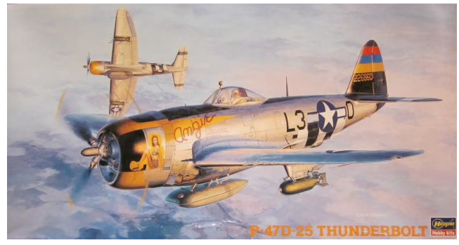 09140  авиация  P-47D-25 Thunderbolt  (1:48)