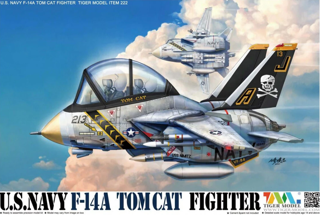 222  авиация  U.S. Navy F-14A Tomcat Fighter