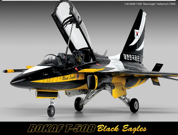 12242  авиация  T-50B Black Eagle (1:48)